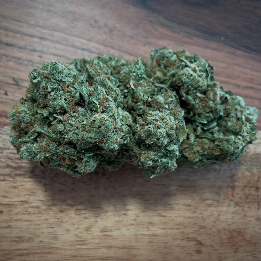 FLEUR AMNESIA