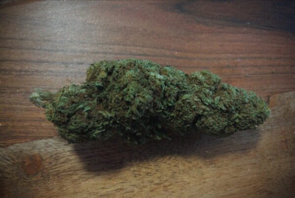 JACK HERRER