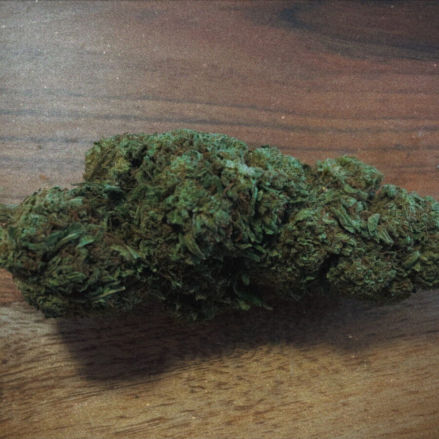 JACK HERRER