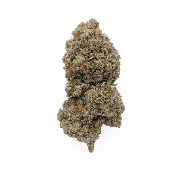 NOUVEAUTÉ  Fleur de CBD Critical +2.0 BIG BUD