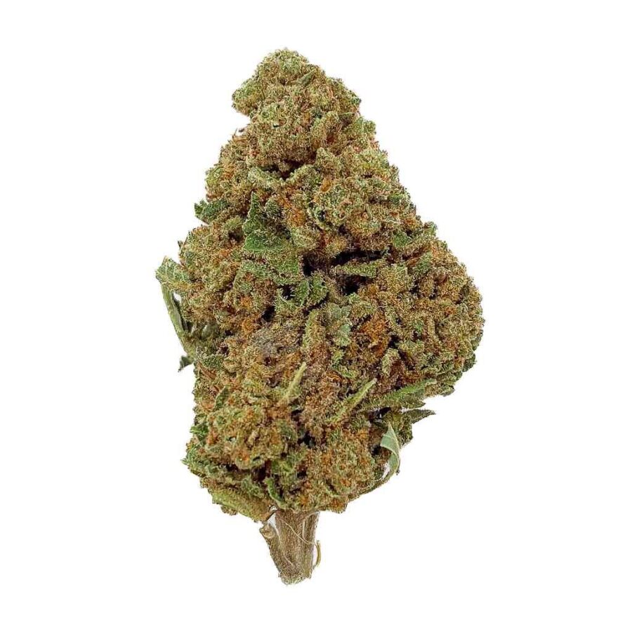 Nouveauté Fleur de CBD WATERMELON BUD MIX